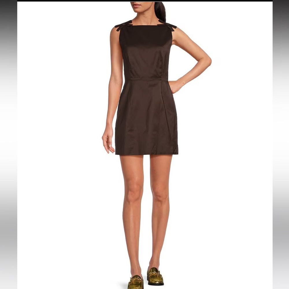 Elegant Brown Sleeveless Dress